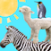 Animal Tower!